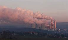 Coal