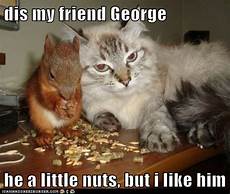 Nuts