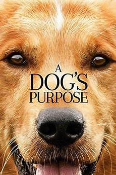 Purpose
