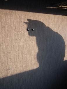 Timing