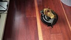 Vacuum Cleaner