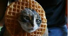 waffel
